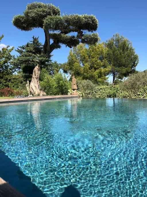 Bastide Languedocienne De Standing - Pezenas Le Clos De L'Amandier Exterior photo